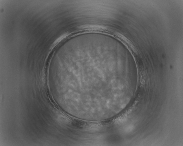 X0000051241074200506241515