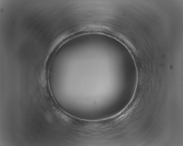 X0000051241075200506241515