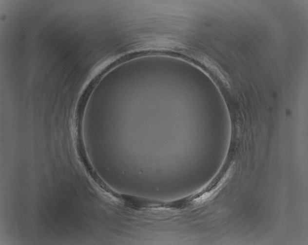 X0000051241077200506241515