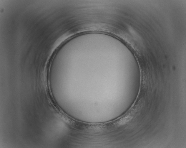 X0000051241078200506241515