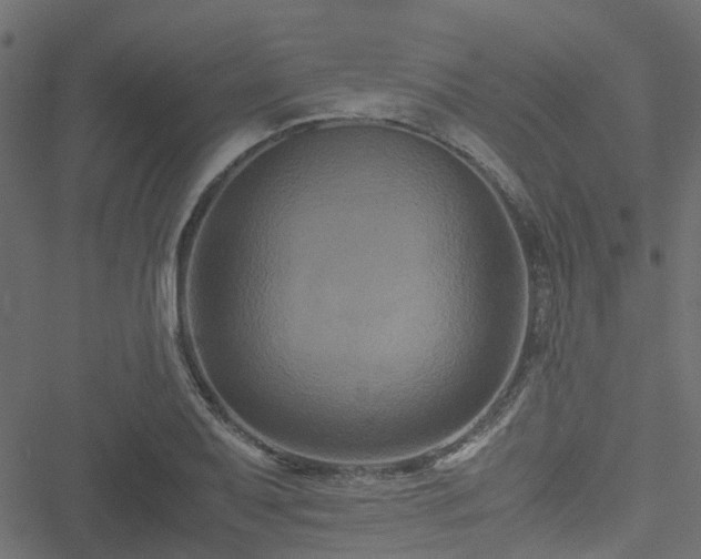 X0000051241079200506241515