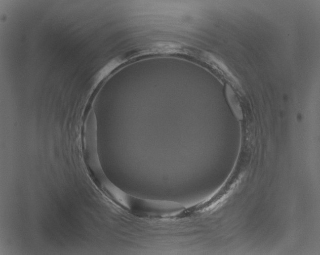 X0000051241081200506241515