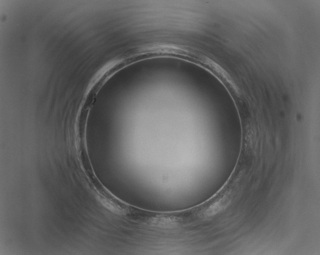 X0000051241082200506241515