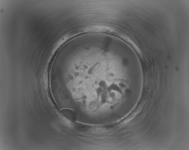 X0000051241083200506241515