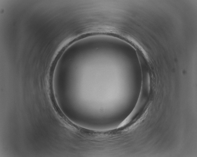 X0000051241085200506241515