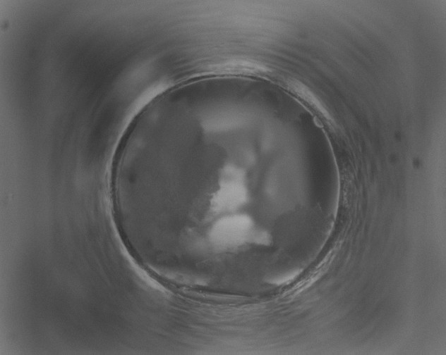 X0000051241087200506241515