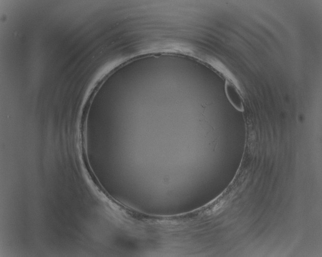 X0000051241088200506241515