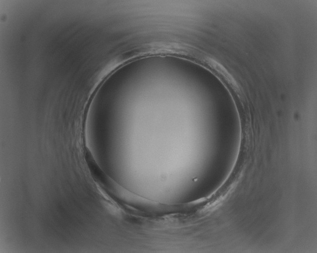 X0000051241089200506241515