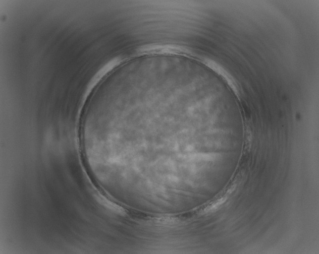 X0000051241090200506241515