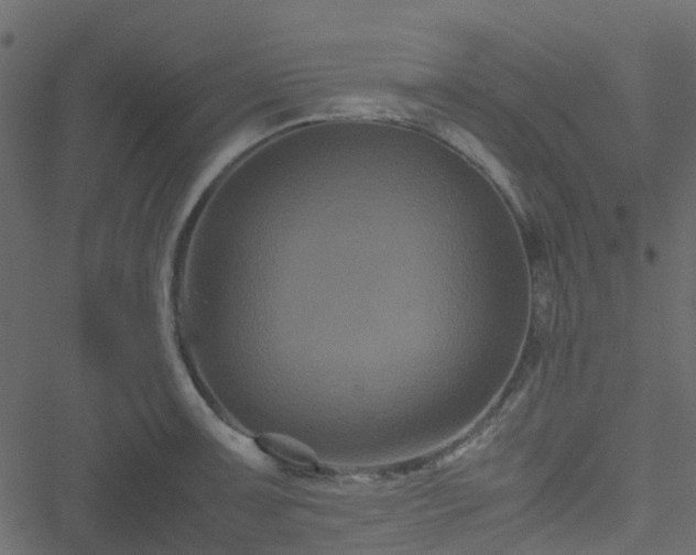 X0000051241091200506241515