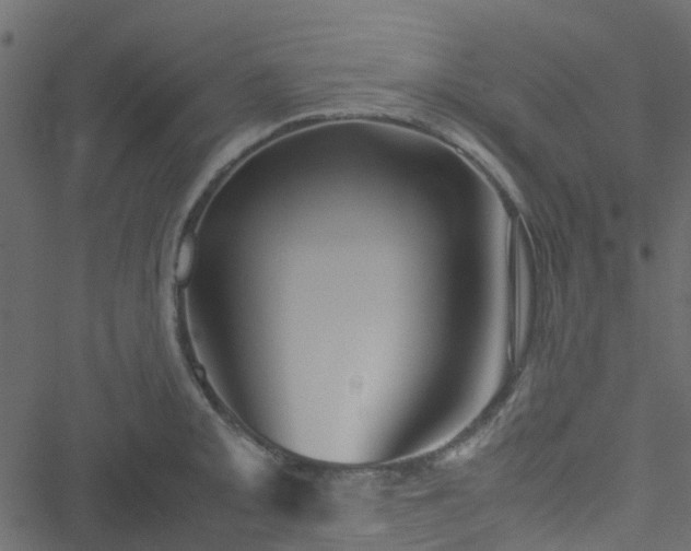 X0000051241093200506241515