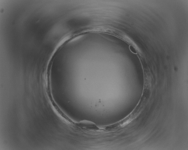 X0000051241095200506241515