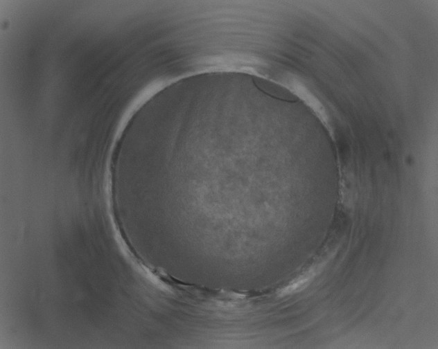 X0000051241096200506241515