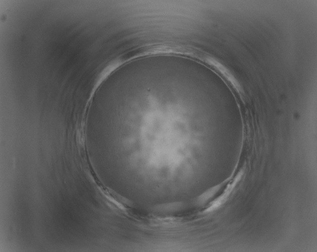 X0000051241097200506241515