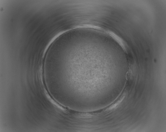 X0000051241100200506241515