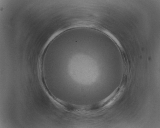 X0000051241101200506241515