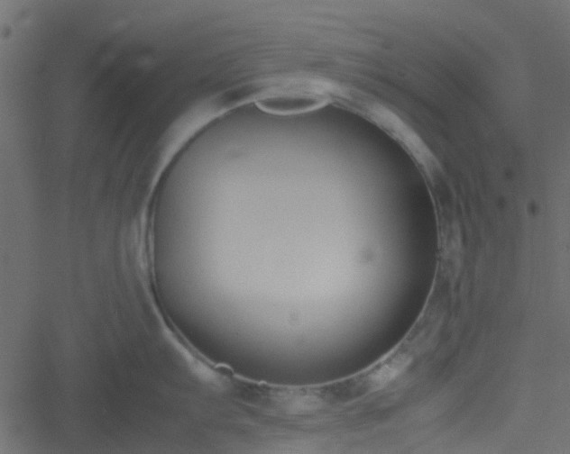 X0000051241103200506241515