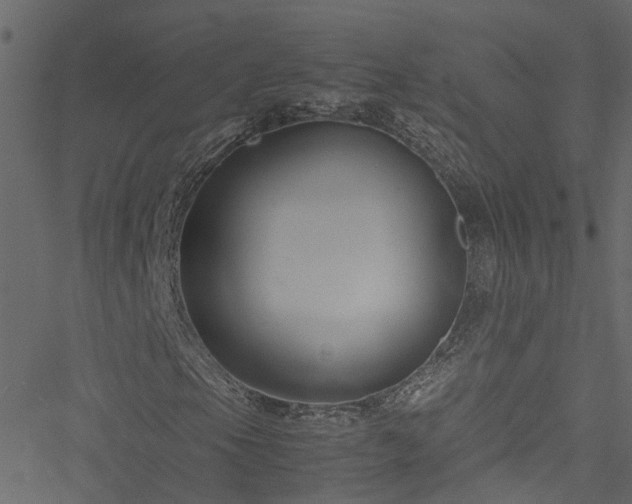 X0000051241105200506241514