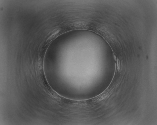 X0000051241107200506241514