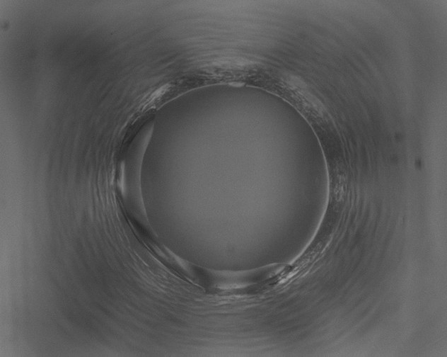 X0000051241108200506241514