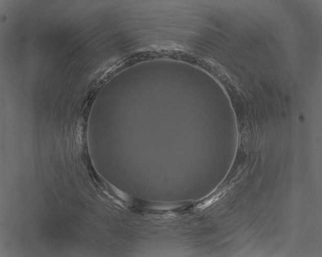 X0000051241110200506241514