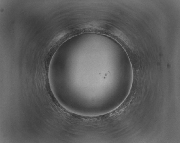 X0000051241111200506241514