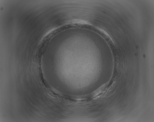 X0000051241112200506241514