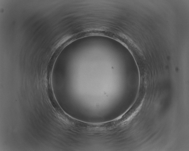 X0000051241113200506241514