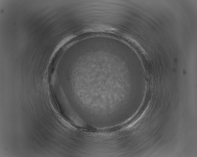 X0000051241114200506241514