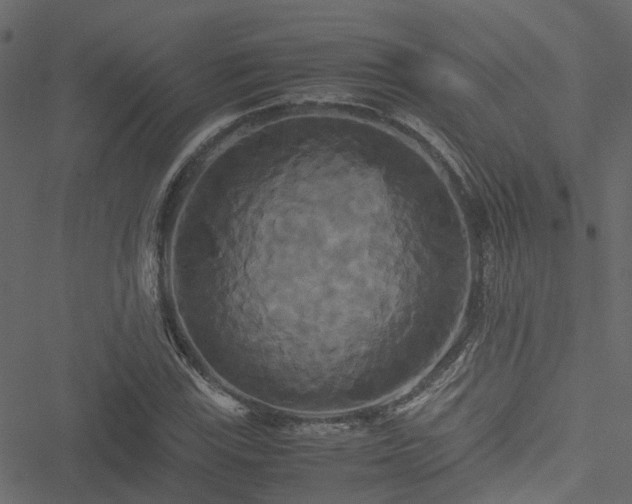 X0000051241115200506241514