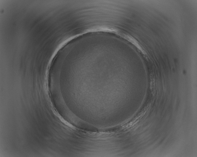 X0000051241116200506241514