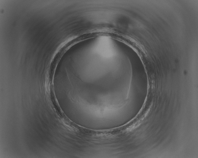 X0000051241117200506241514