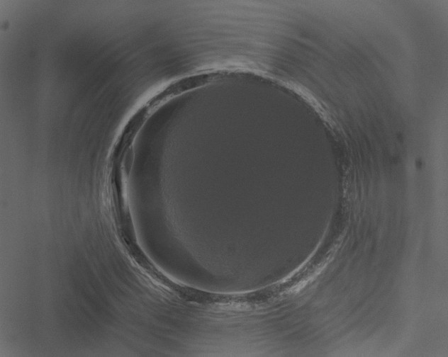 X0000051241118200506241514