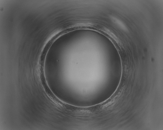 X0000051241119200506241514