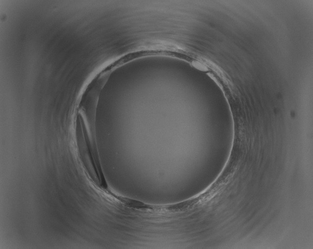 X0000051241120200506241514