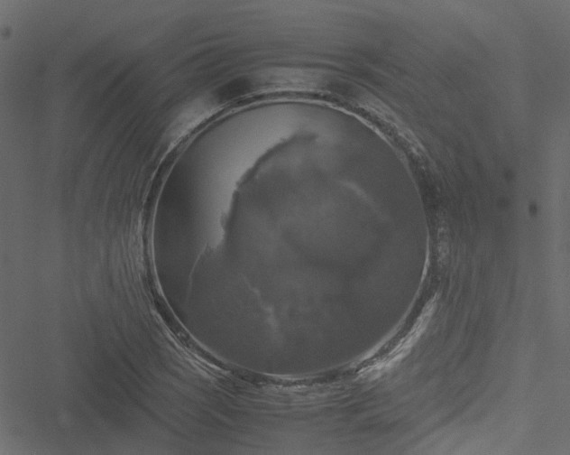 X0000051241121200506241514