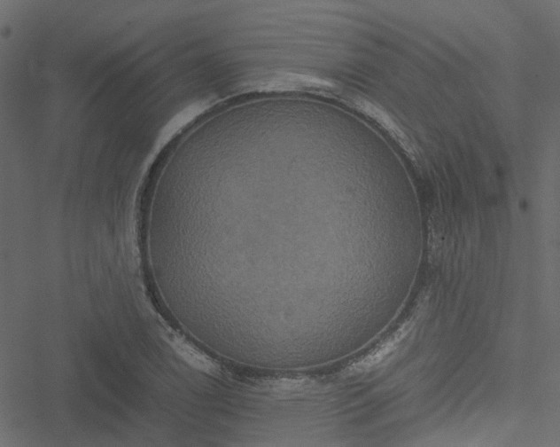 X0000051241122200506241514