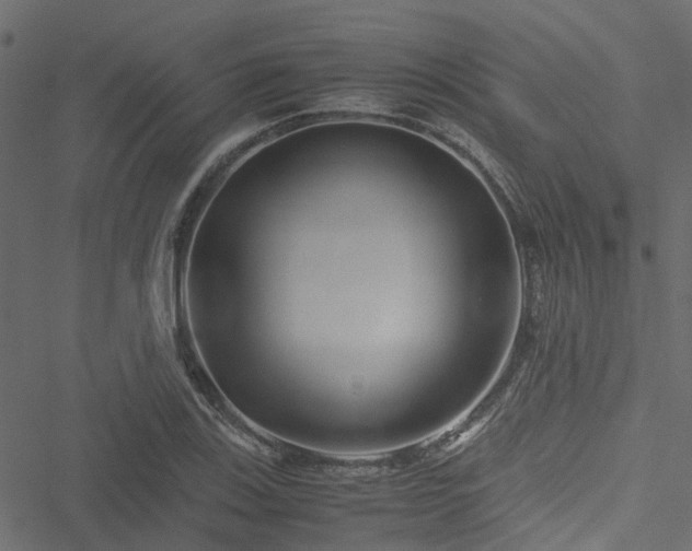 X0000051241123200506241514