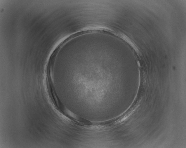 X0000051241124200506241514