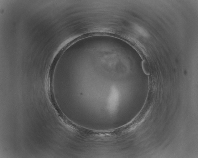 X0000051241125200506241514