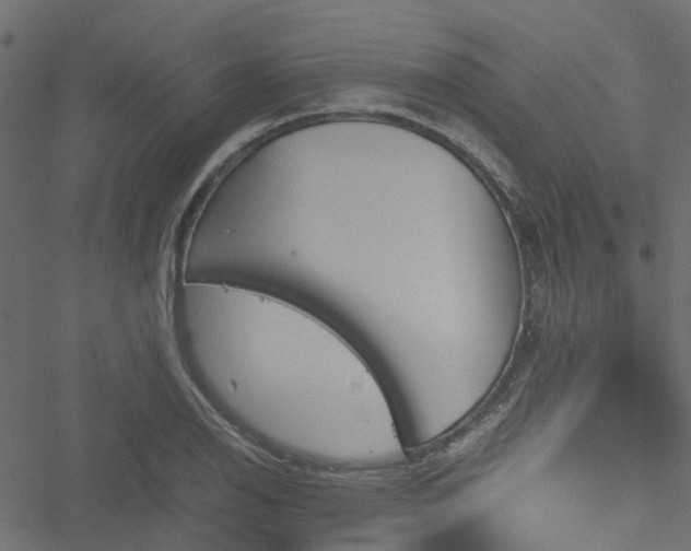 X0000051241126200506241514