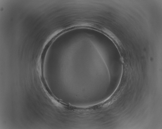 X0000051241127200506241514