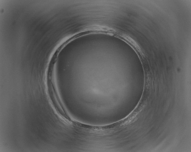 X0000051241128200506241514