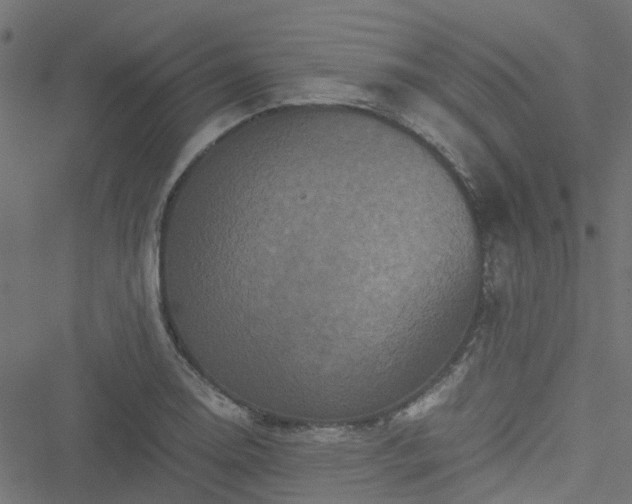 X0000051241130200506241514