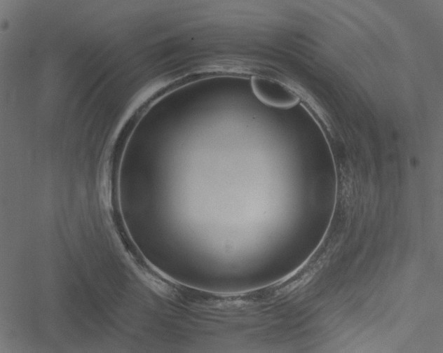 X0000051241131200506241514