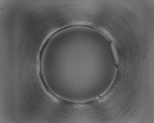 X0000051241132200506241515