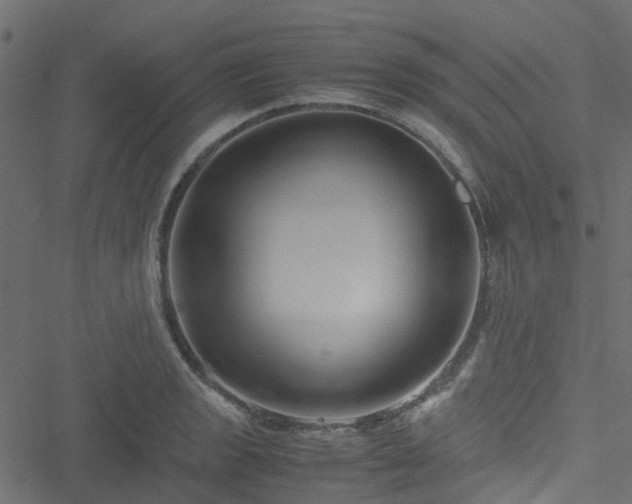 X0000051241133200506241515