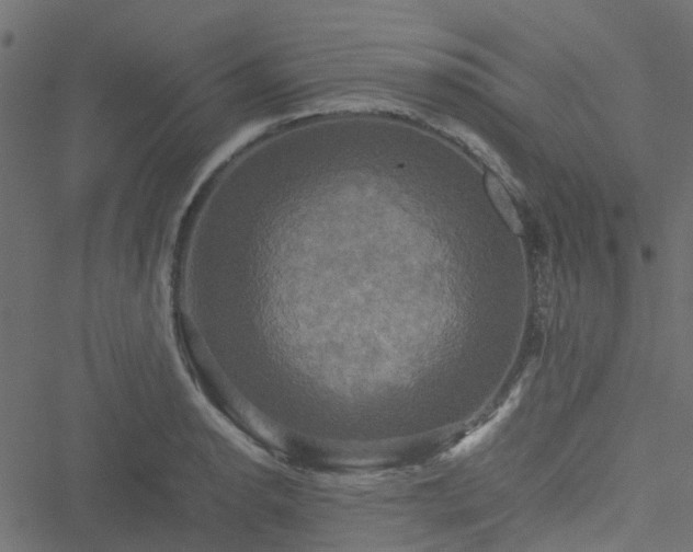 X0000051241134200506241515