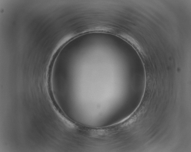 X0000051241135200506241515