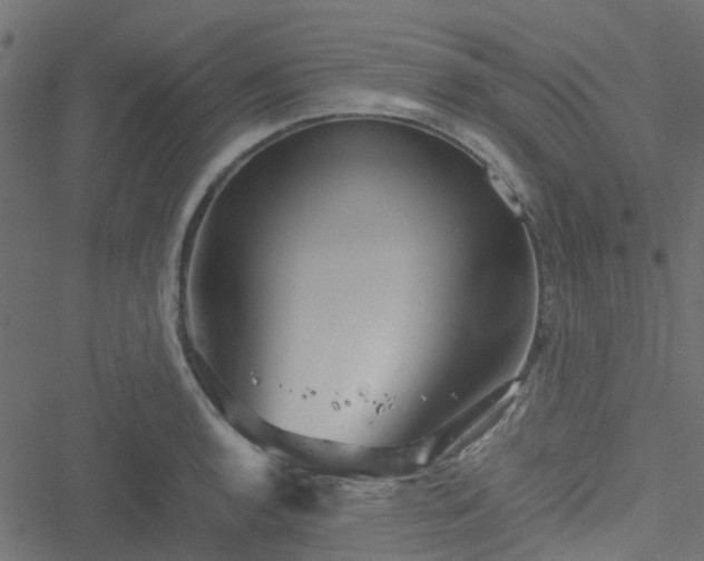 X0000051241136200506241515